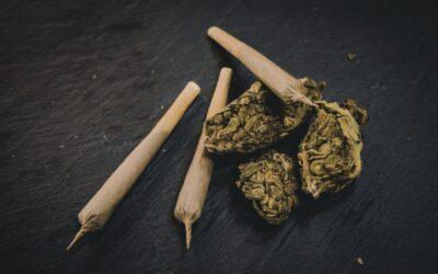 Cannabis, PTSD, and Early Recovery: Why Clients Deserve to See the Data