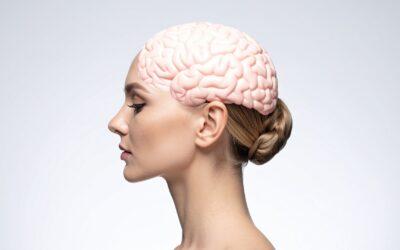 What’s Actually Happening Inside Your Brain